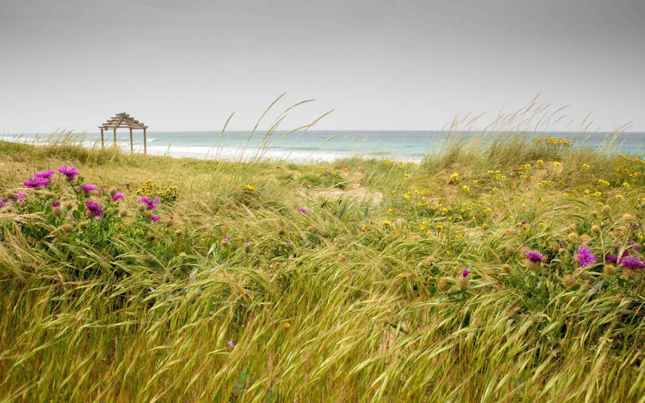 Romantic Beach Cabin - Playa El Palmar El Palmar  Ngoại thất bức ảnh